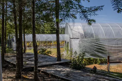 5734 Wilder Road, Georgetown, CA 95634 - Photo 53