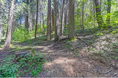 3005 Amber Trail, Pollock Pines, CA 95726 - Photo 1