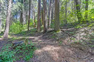 3005 Amber Trail, Pollock Pines, CA 95726 - Photo 1