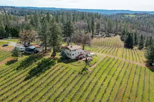 4771 Greenhills Rd, Placerville, CA 95667 - Photo 69