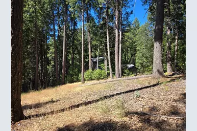 3224 York Court, Pollock Pines, CA 95726 - Photo 5