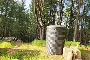 18253 Green Ravine Rd, Nevada City, CA 95959 - Photo 43