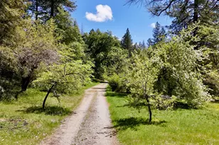 15325 Buckeye Rd, Nevada City, CA 95959 - Photo 1