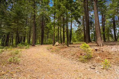 14647 Banner Quaker Hill Road, Nevada City, CA 95959 - Photo 41