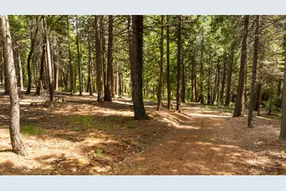 14647 Banner Quaker Hill Road, Nevada City, CA 95959 - Photo 15