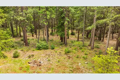 14647 Banner Quaker Hill Road, Nevada City, CA 95959 - Photo 19