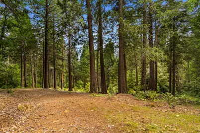14647 Banner Quaker Hill Road, Nevada City, CA 95959 - Photo 39