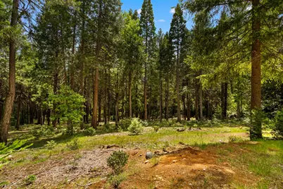 14647 Banner Quaker Hill Road, Nevada City, CA 95959 - Photo 33