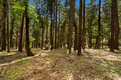 14647 Banner Quaker Hill Road, Nevada City, CA 95959 - Photo 35