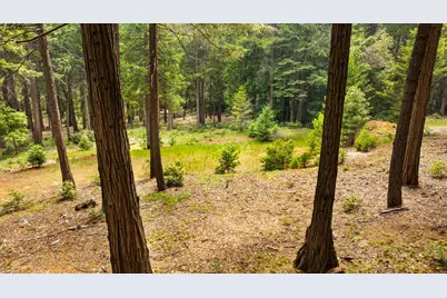 14647 Banner Quaker Hill Road, Nevada City, CA 95959 - Photo 21