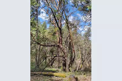 6141 State Highway 193, Georgetown, CA 95634 - Photo 15