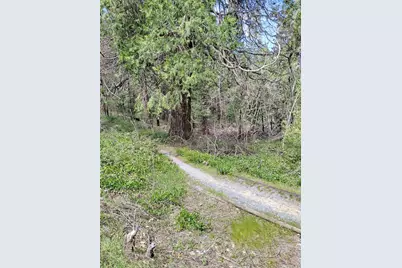 6141 State Highway 193, Georgetown, CA 95634 - Photo 9