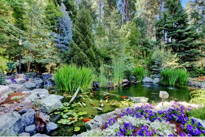 13027 Robin Road, Nevada City, CA 95959 - Photo 21