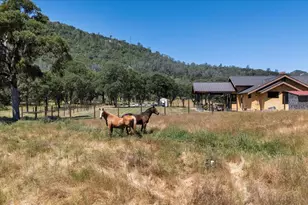 9267 7r Bar Rd, Angels Camp, CA 95222 - Photo 77