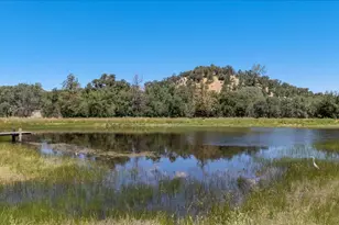 9267 7r Bar Rd, Angels Camp, CA 95222 - Photo 89