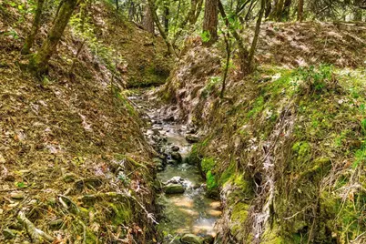 12921 Slate Creek, Nevada City, CA 95959 - Photo 27