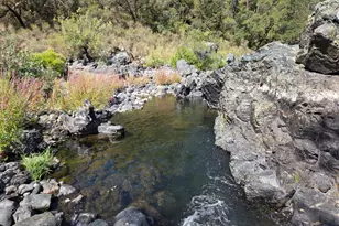 23392 Meyer Ravine Rd, Grass Valley, CA 95949 - Photo 49