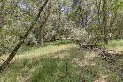 3390 Morel Way, Placerville, CA 95667 - Photo 19