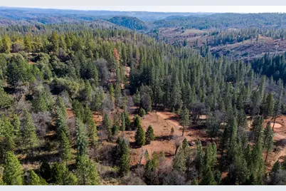 4900 Kelley Place, Garden Valley, CA 95633 - Photo 21