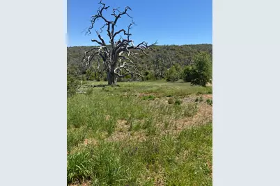 8744 Maranatha Lane, Mountain Ranch, CA 95245 - Photo 9