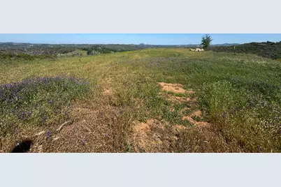 8744 Maranatha Lane, Mountain Ranch, CA 95245 - Photo 5