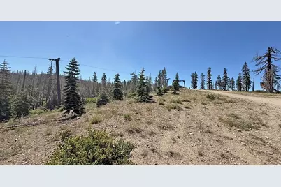 99981 Mormon Emigrant Trail, Pollock Pines, CA 95726 - Photo 7