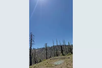 99981 Mormon Emigrant Trail, Pollock Pines, CA 95726 - Photo 5