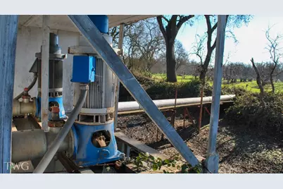 11850 E Live Oak Road, Lodi, CA 95240 - Photo 13