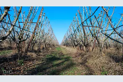 11850 E Live Oak Road, Lodi, CA 95240 - Photo 7