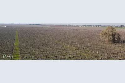 11850 E Live Oak Road, Lodi, CA 95240 - Photo 5