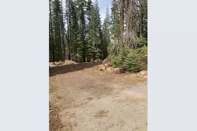 8896 Big Creek Road, Bucks Lake, CA 95971 - Photo 3