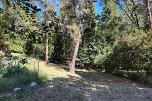 10311 School St, North San Juan, CA 95960 - Photo 7