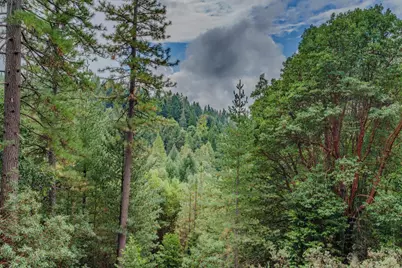 25504 Meadow Drive, Pioneer, CA 95666 - Photo 7