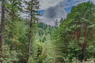 25504 Meadow Dr, Pioneer, CA 95666 - Photo 7