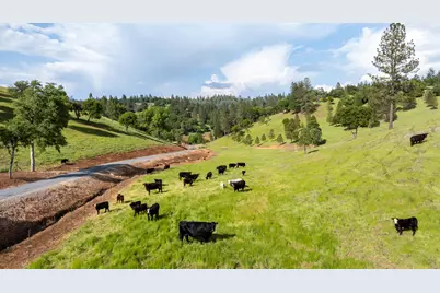 5160 Scarlet Oak, Greenwood, CA 95635 - Photo 3