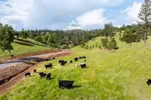 5160 Scarlet Oak, Greenwood, CA 95635 - Photo 3