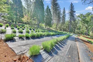 14833 Quail Pointe Ln, Grass Valley, CA 95945 - Photo 63