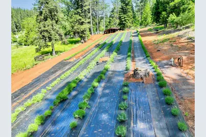 14833 Quail Pointe Lane, Grass Valley, CA 95945 - Photo 59