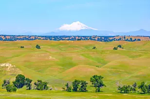 15605 Johnson Rd, Red Bluff, CA 96080 - Photo 77