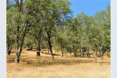112 Union Mine Road, El Dorado, CA 95623 - Photo 13