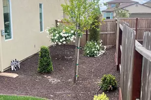 7321 Dorstone Wy, Sacramento, CA 95829 - Photo 15