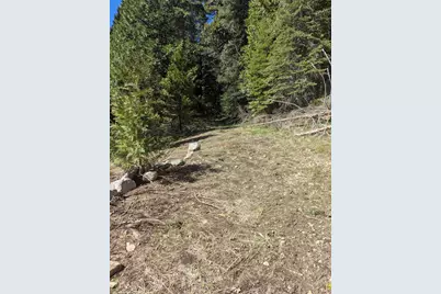 0 Texas Hill, Emigrant Gap, CA 95715 - Photo 9