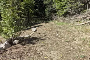 0 Texas Hill, Emigrant Gap, CA 95715 - Photo 9