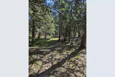 0 Texas Hill, Emigrant Gap, CA 95715 - Photo 13