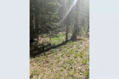 0 Texas Hill, Emigrant Gap, CA 95715 - Photo 15