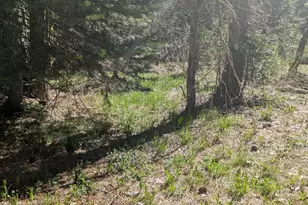 0 Texas Hill, Emigrant Gap, CA 95715 - Photo 15