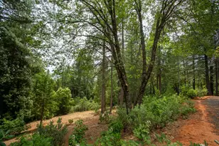 10647 Forbestown Rd, Challenge, CA 95925 - Photo 5