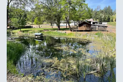 22025 Ferretti Road, Groveland, CA 95321 - Photo 25