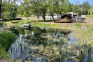 22025 Ferretti Rd, Groveland, CA 95321 - Photo 25