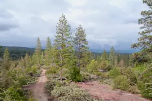 6363 Dogtown Rd, Coulterville, CA 95311 - Photo 1